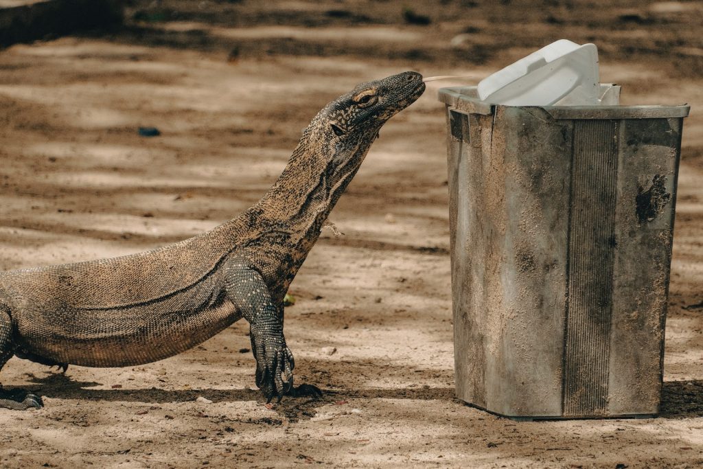 a large lizard standing next to a trash can