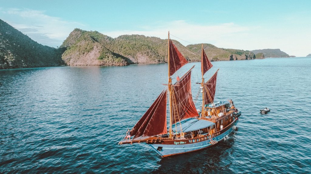 Manta Point Komodo: Snorkelling with Manta Rays — Season, Tips & Charter Timing