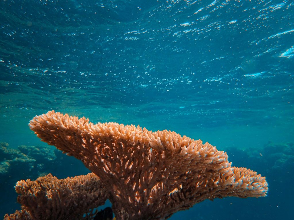 Komodo 3-Day 2-Night Private Phinisi Itinerary (Detailed Day-by-Day)