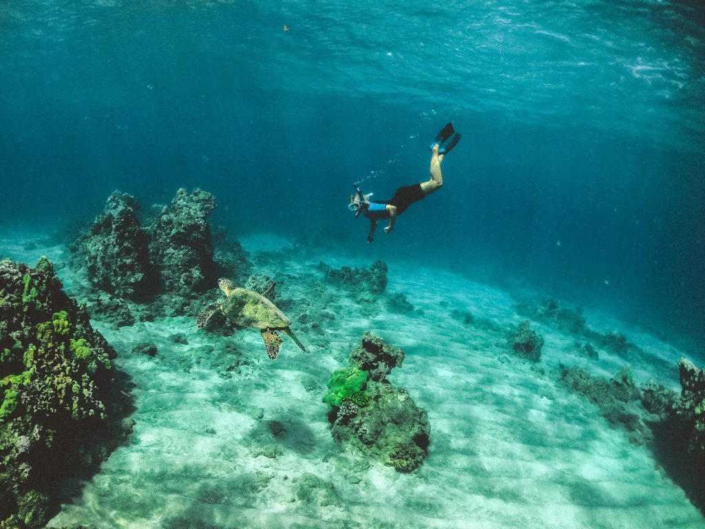 Komodo Private Charter Cost: Full Breakdown for Day Trip to 4D3N