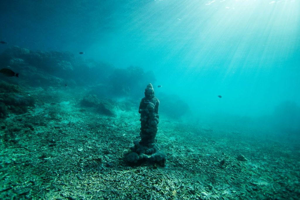 Visiting Komodo in July & August: Peak Season Tips for Private Charters